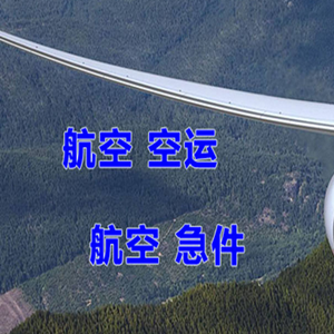 湛江机场托运快递-选东方航空和上海航空
