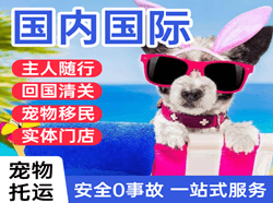 湛江机场托运国际宠物托运 【国